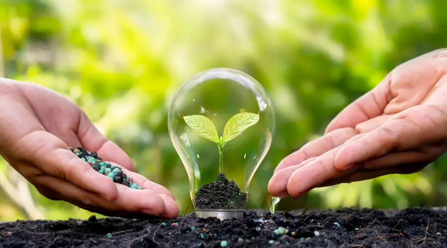 Filosofia sostenibile ed etica ambientale